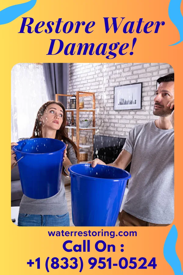 water restoration Pro Water Mitigation Network North Newton