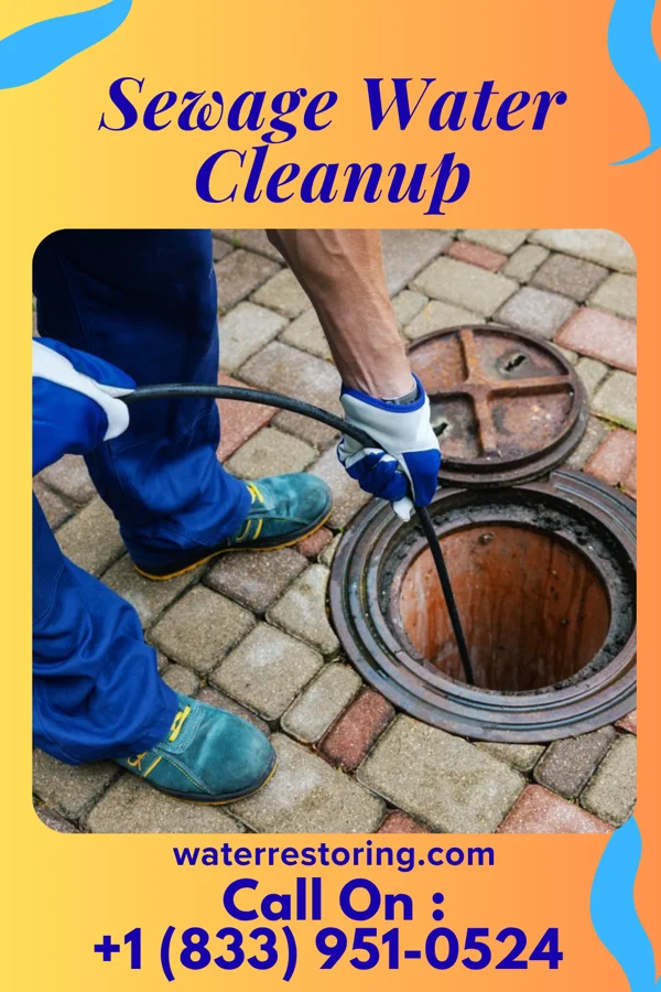 Sewage Water Cleanup in North Newton, KS